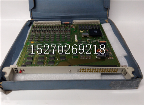 IPFLD24