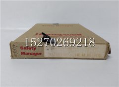  51306511-175BCC-PAIN01