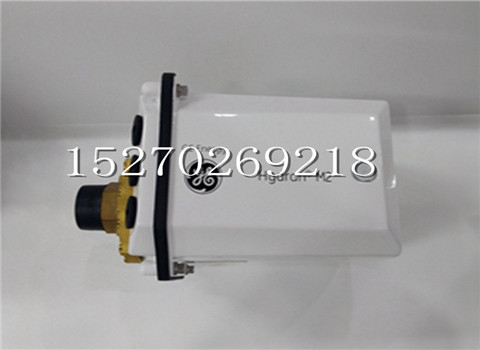 DS200IIBDG1ABA/DS200IIBDG1A