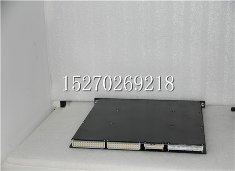 TRICONEX英维思MP3101