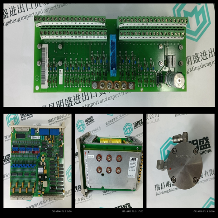 FLOWSERVE MY48888A160-D4工控控制卡件