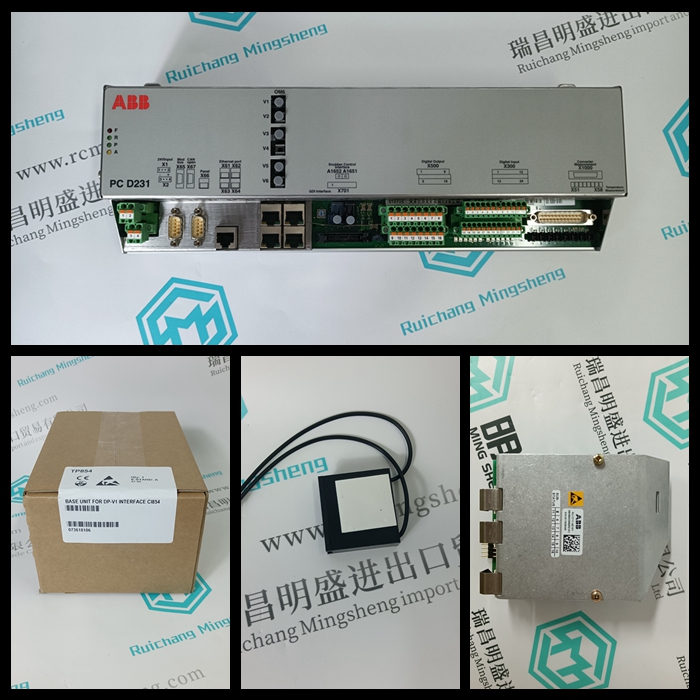 FLOWSERVE CPM250B189X2阀门定位器