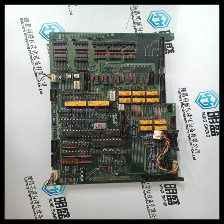 KOKUSAI BALEXT-SMP隔离输入通道模块